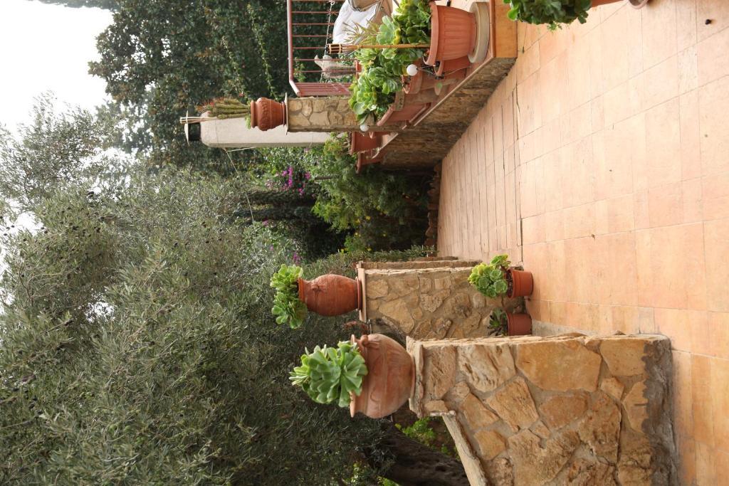 B&B Villa Casablanca Enna Dış mekan fotoğraf
